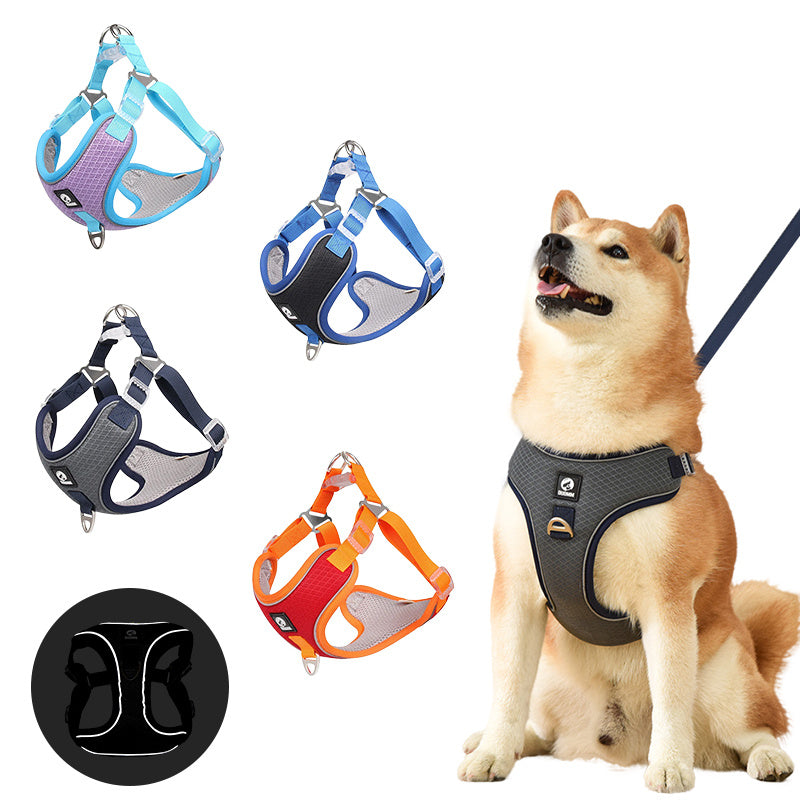 Breathable Mesh Dog Harness - with Leash