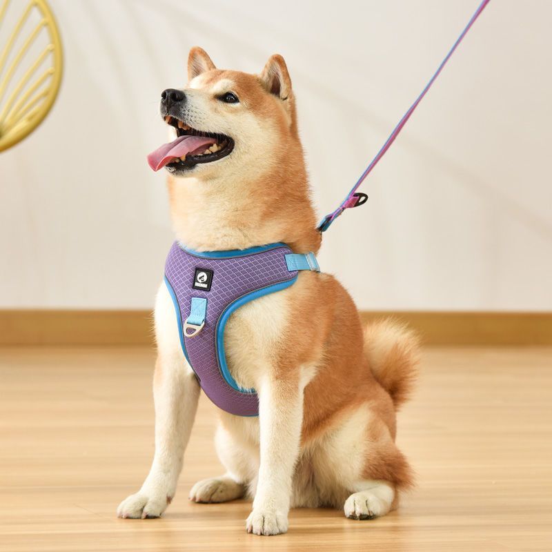 Breathable Mesh Dog Harness - with Leash