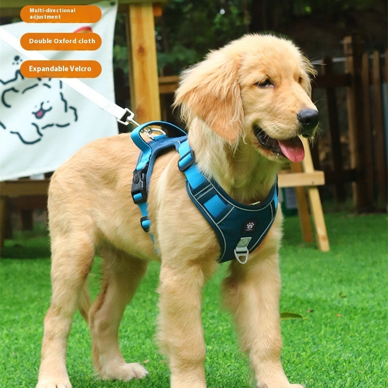 Reflective Comfort Harness – Built for Safer, Happier Walks