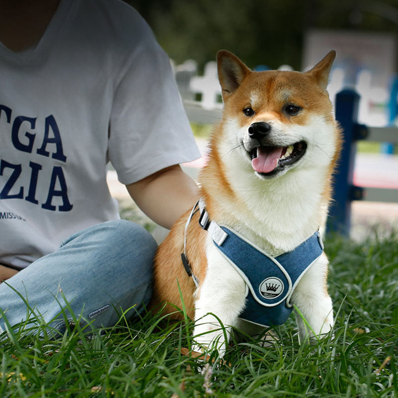 Easy-Wear Adjustable Pet Harness with Reflective Straps