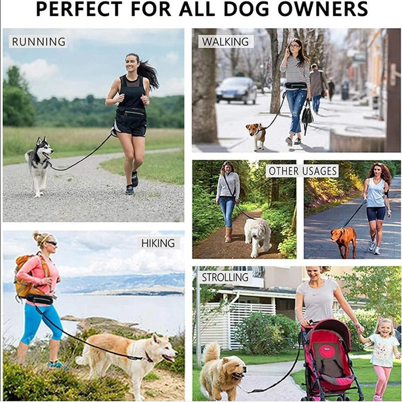 Hands-Free Gradient Dog Leash Set