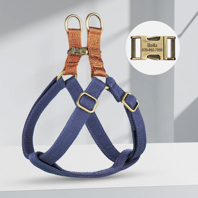 Secure Dog Harness – Personalized for Extra Safety