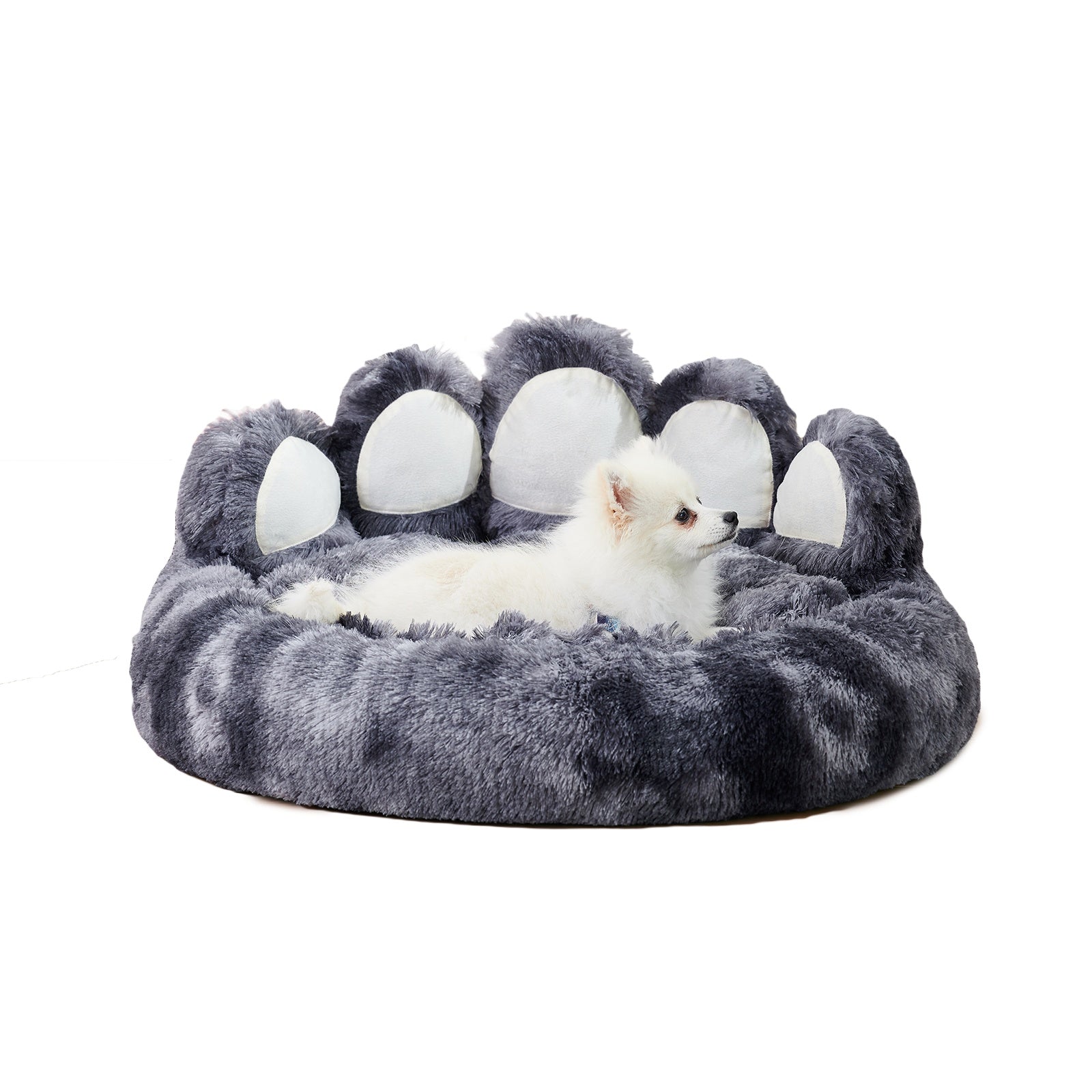 Cute Paw Shape Beds
