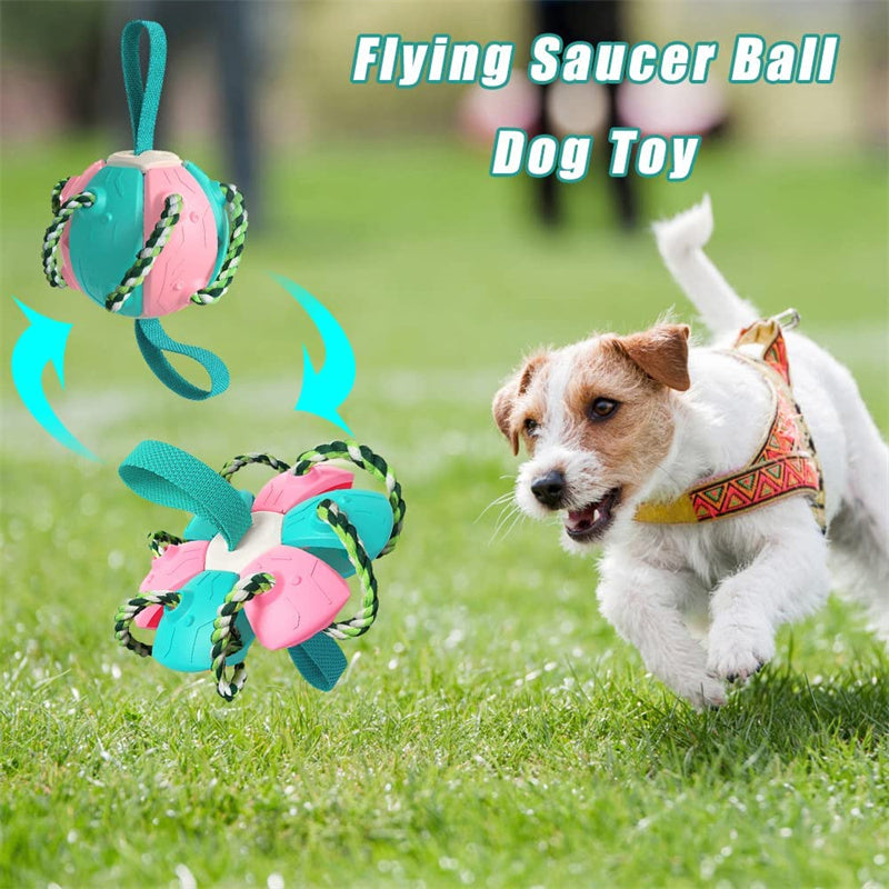 Interactive Tug & Chew Dog Soccer Ball