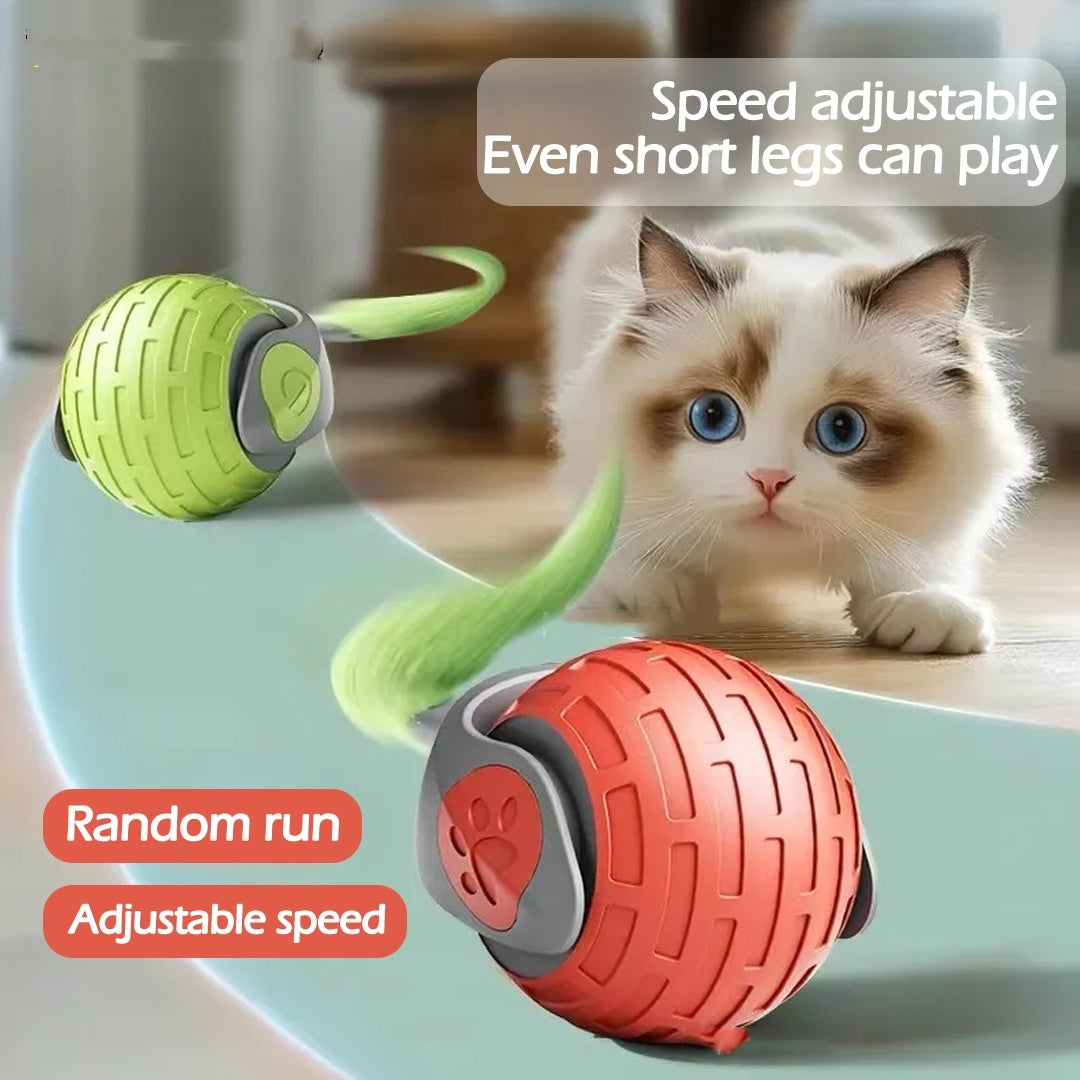 Interactive Cat Chase Ball