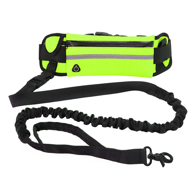 Hands-Free Gradient Dog Leash Set