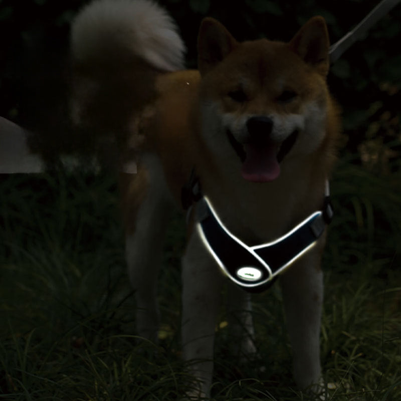 Easy-Wear Adjustable Pet Harness with Reflective Straps