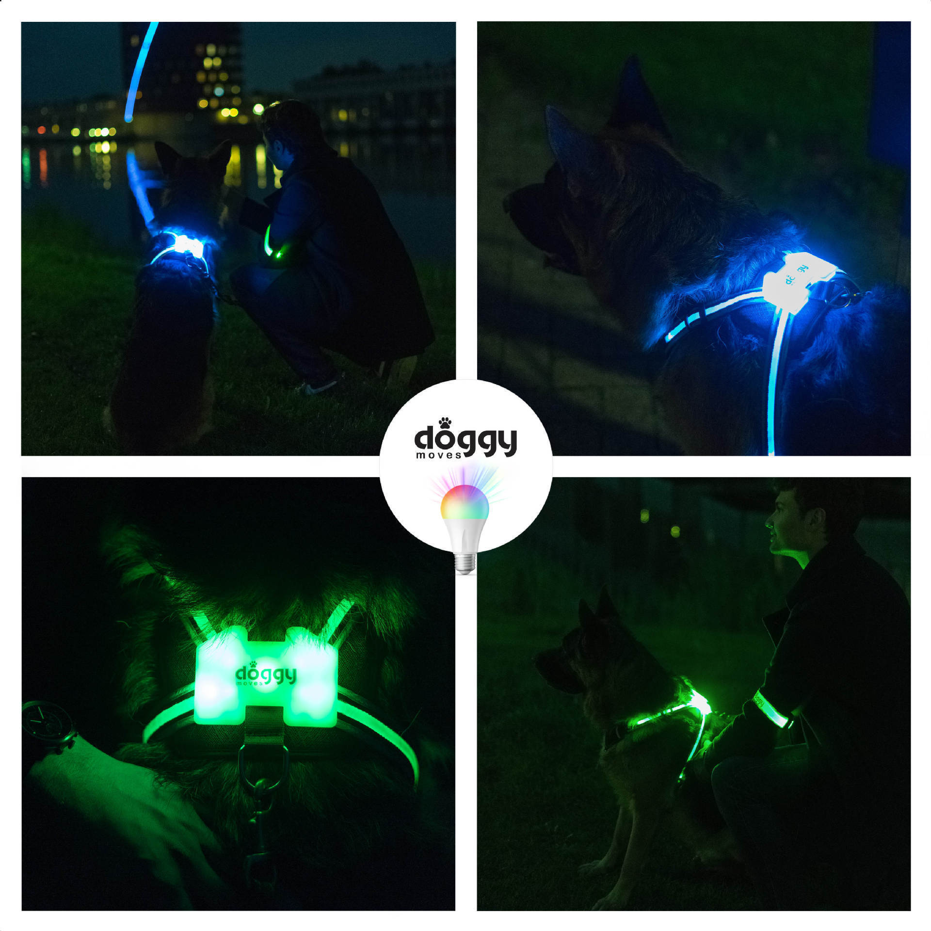 LED Light-Up Dog Harness – Safe Night Walks