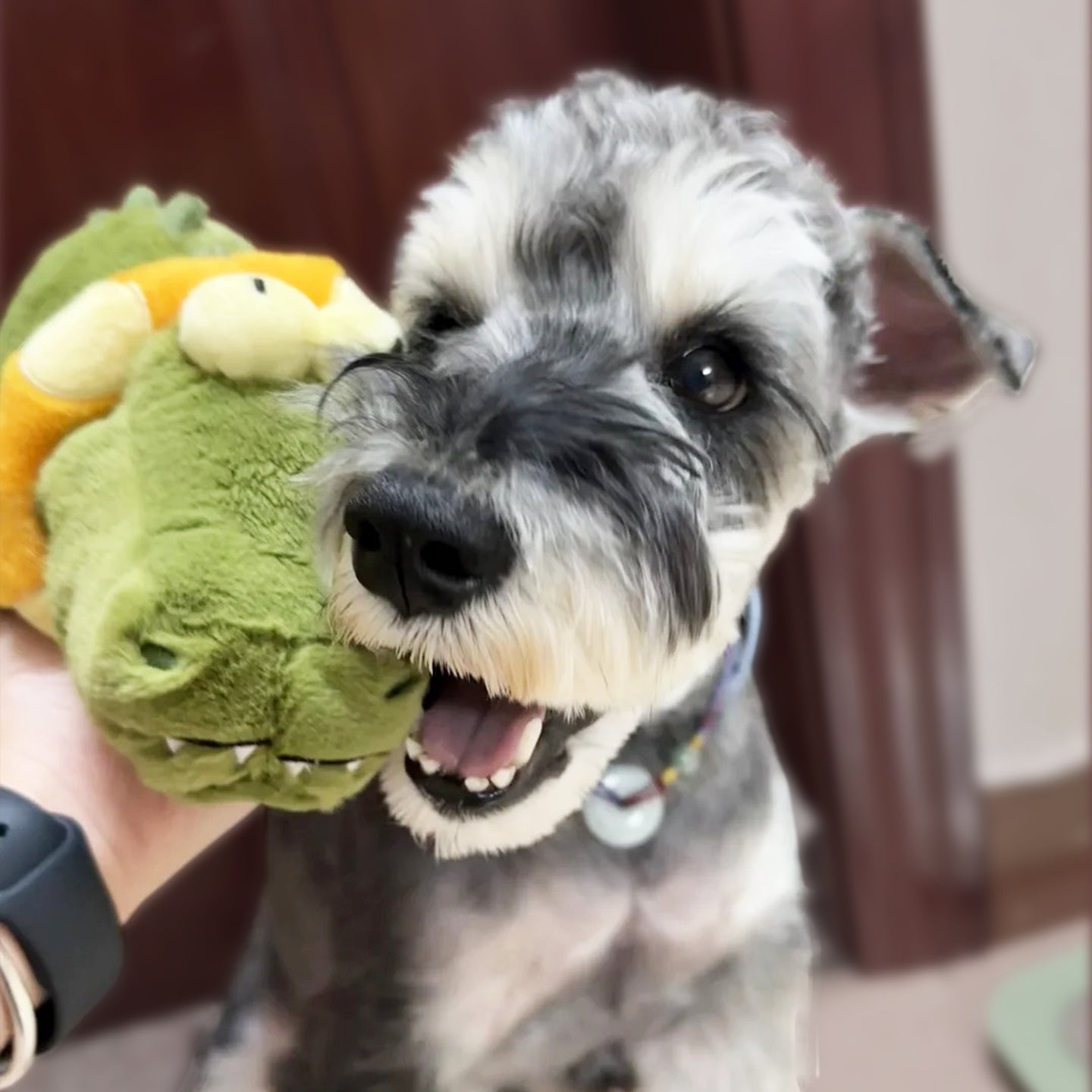 Dog Electric Sound Plush Toy