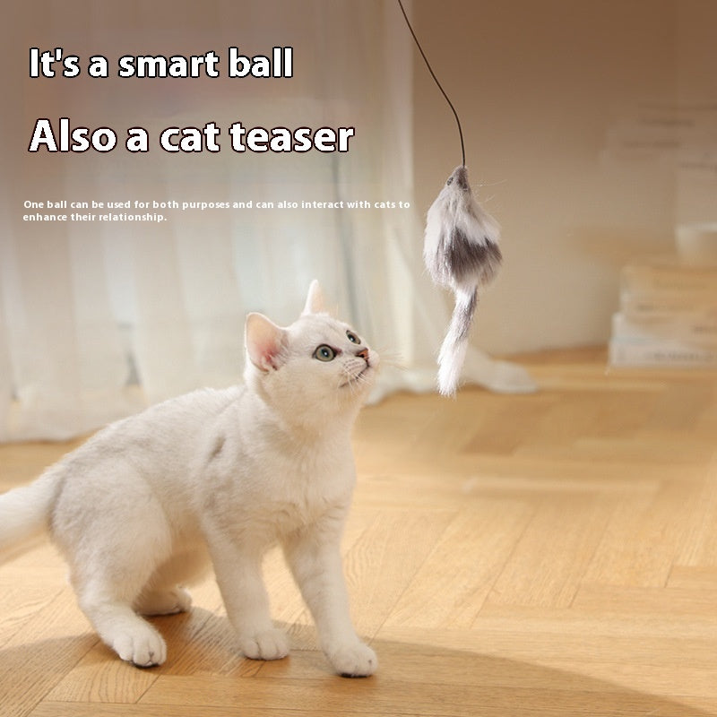 SmartChase Cat Teaser Ball + Mouse