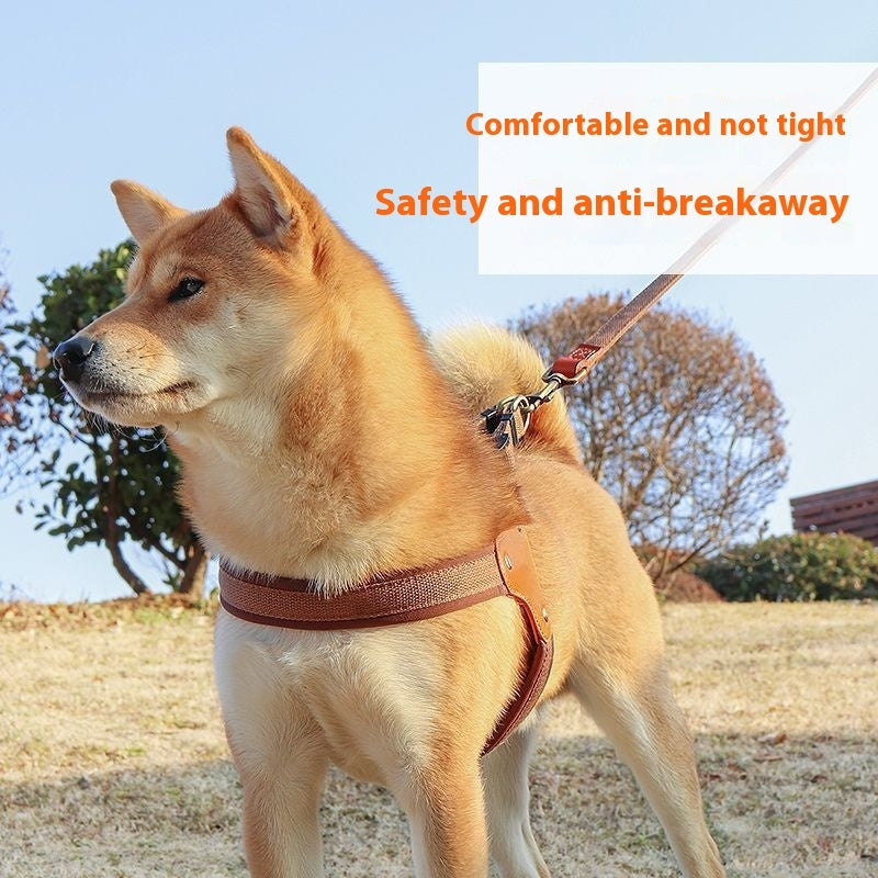 Durable Comfort-Fit Dog Harness with Leather Touch