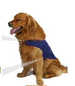 CalmPaws Anti-Anxiety Vest