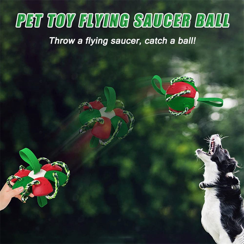 Interactive Tug & Chew Dog Soccer Ball