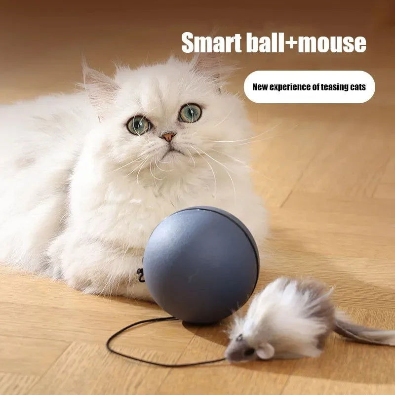 SmartChase Cat Teaser Ball + Mouse