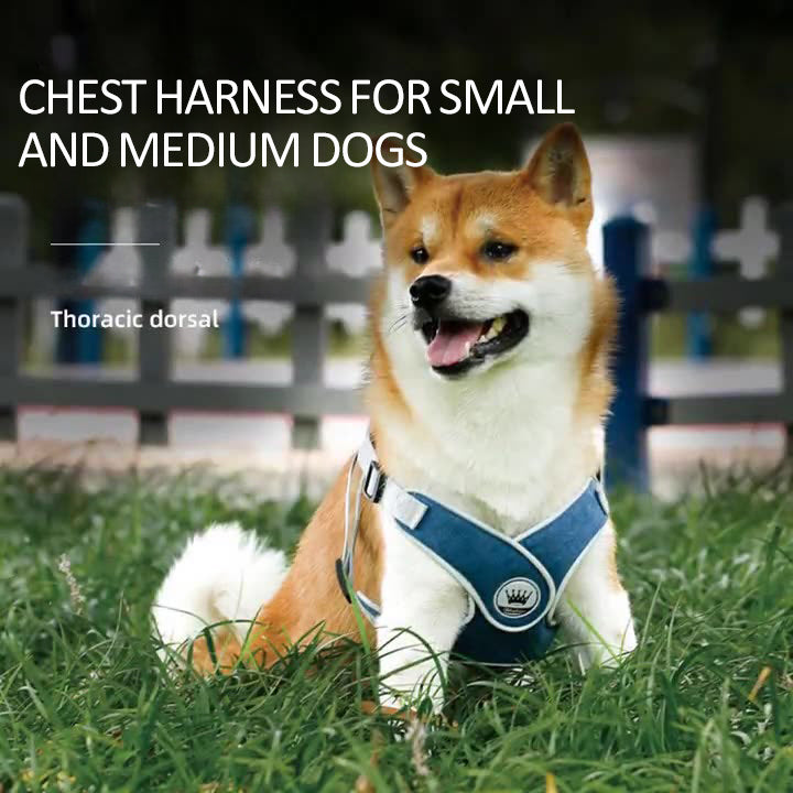 Easy-Wear Adjustable Pet Harness with Reflective Straps