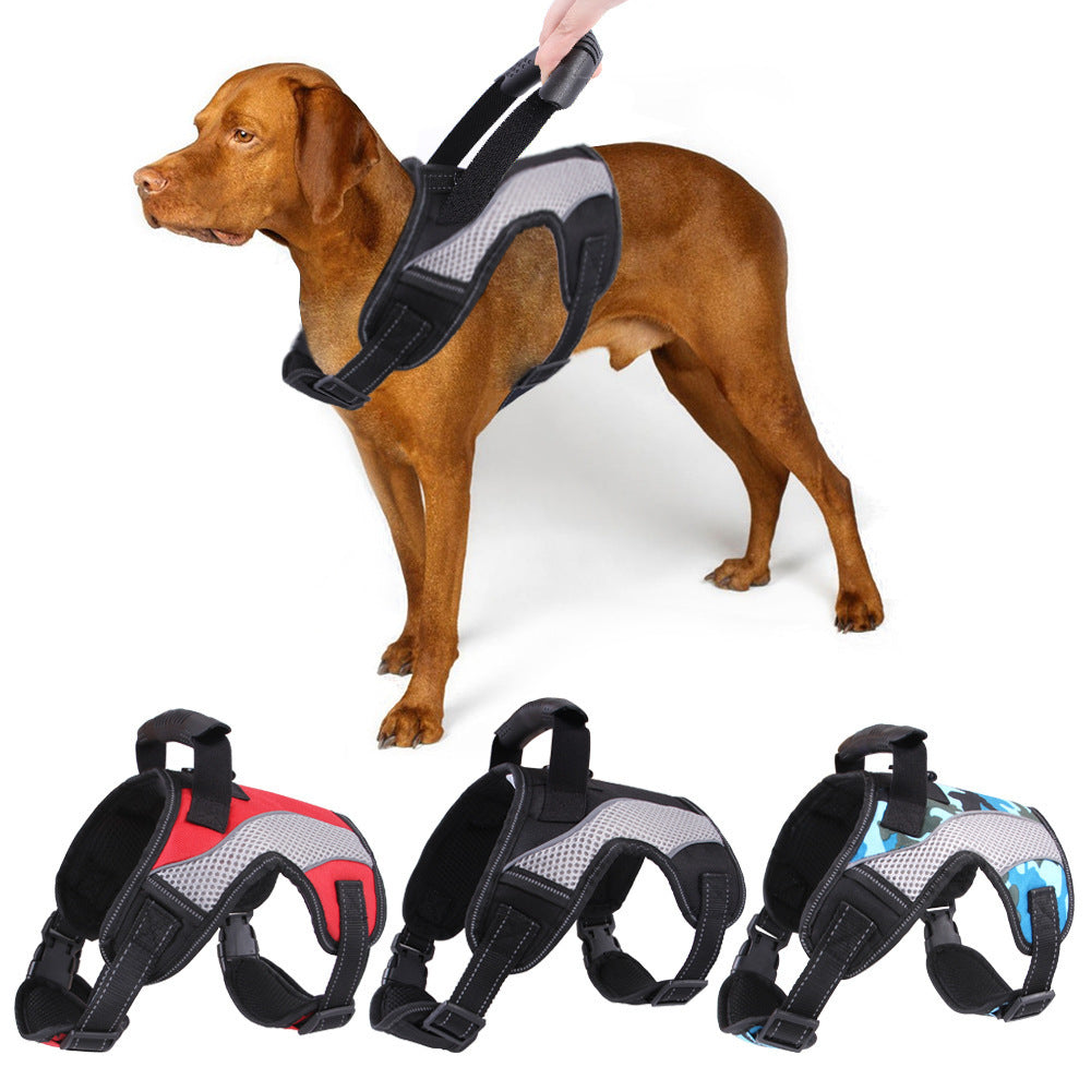 SecureFit Dog Harness - Padded, Adjustable & Built for Active Walks