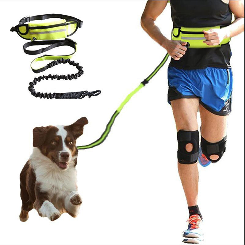 Hands-Free Gradient Dog Leash Set