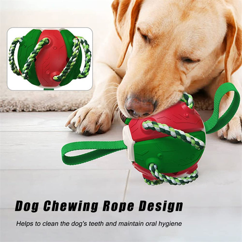 Interactive Tug & Chew Dog Soccer Ball