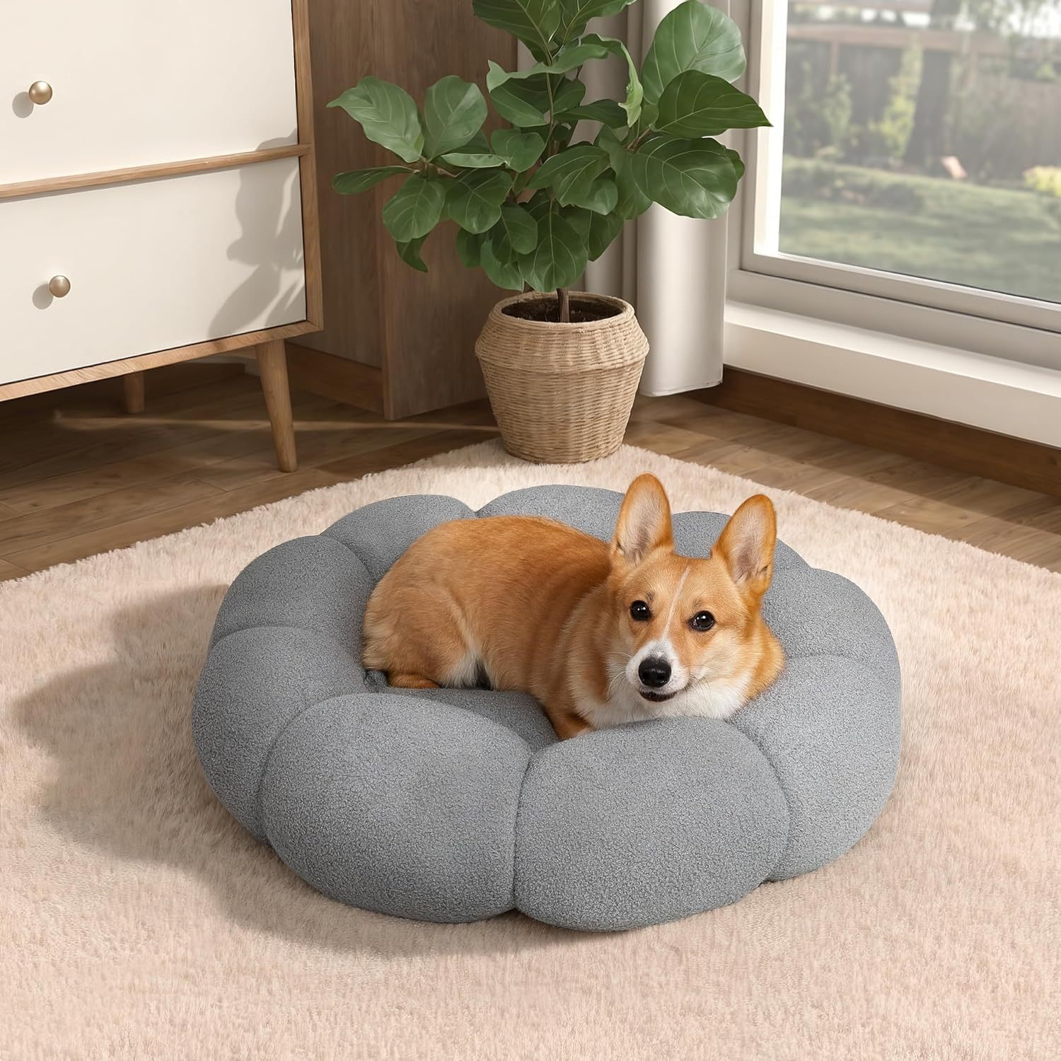 Calming Flower Pet Bed
