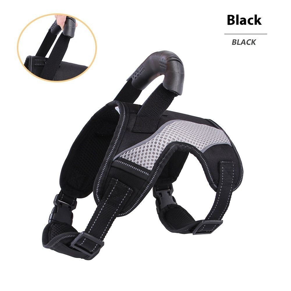 SecureFit Dog Harness - Padded, Adjustable & Built for Active Walks