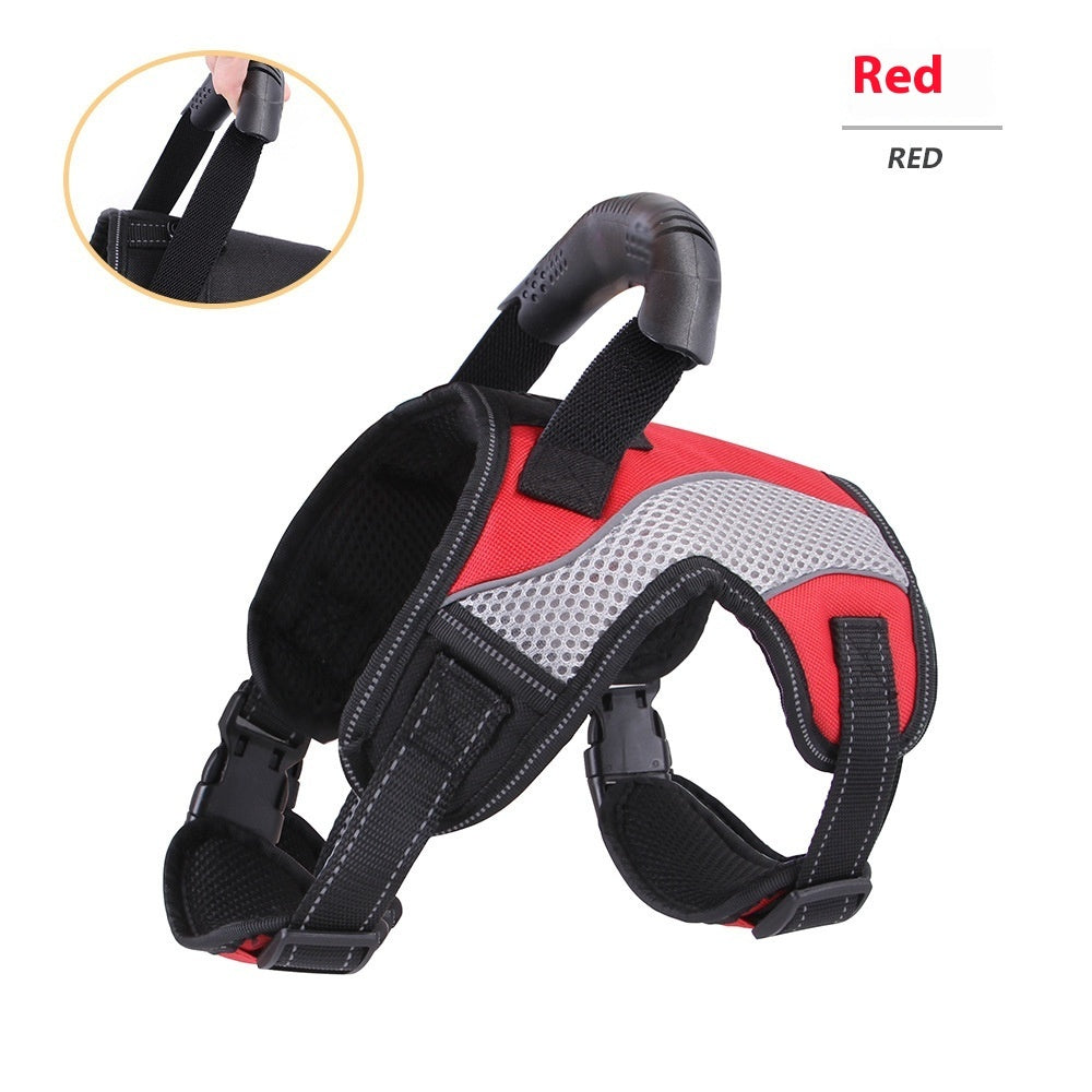 SecureFit Dog Harness - Padded, Adjustable & Built for Active Walks