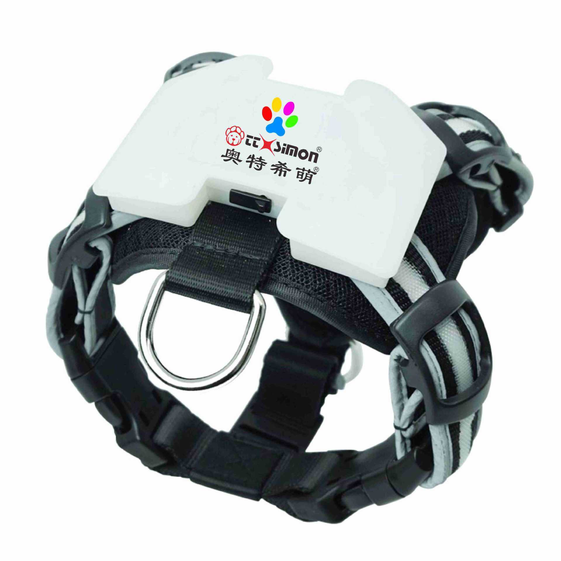 LED Light-Up Dog Harness – Safe Night Walks