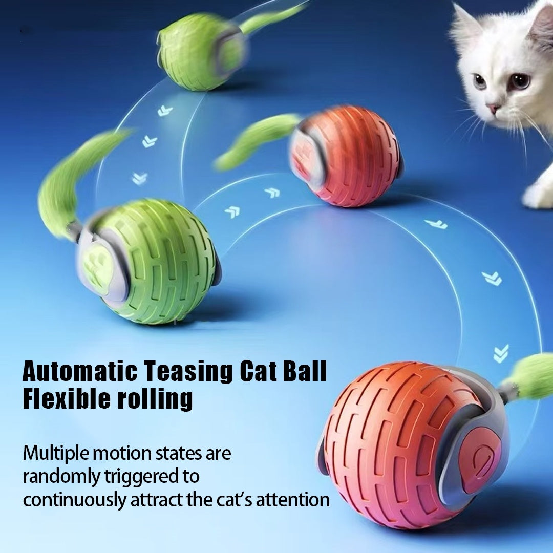 Interactive Cat Chase Ball
