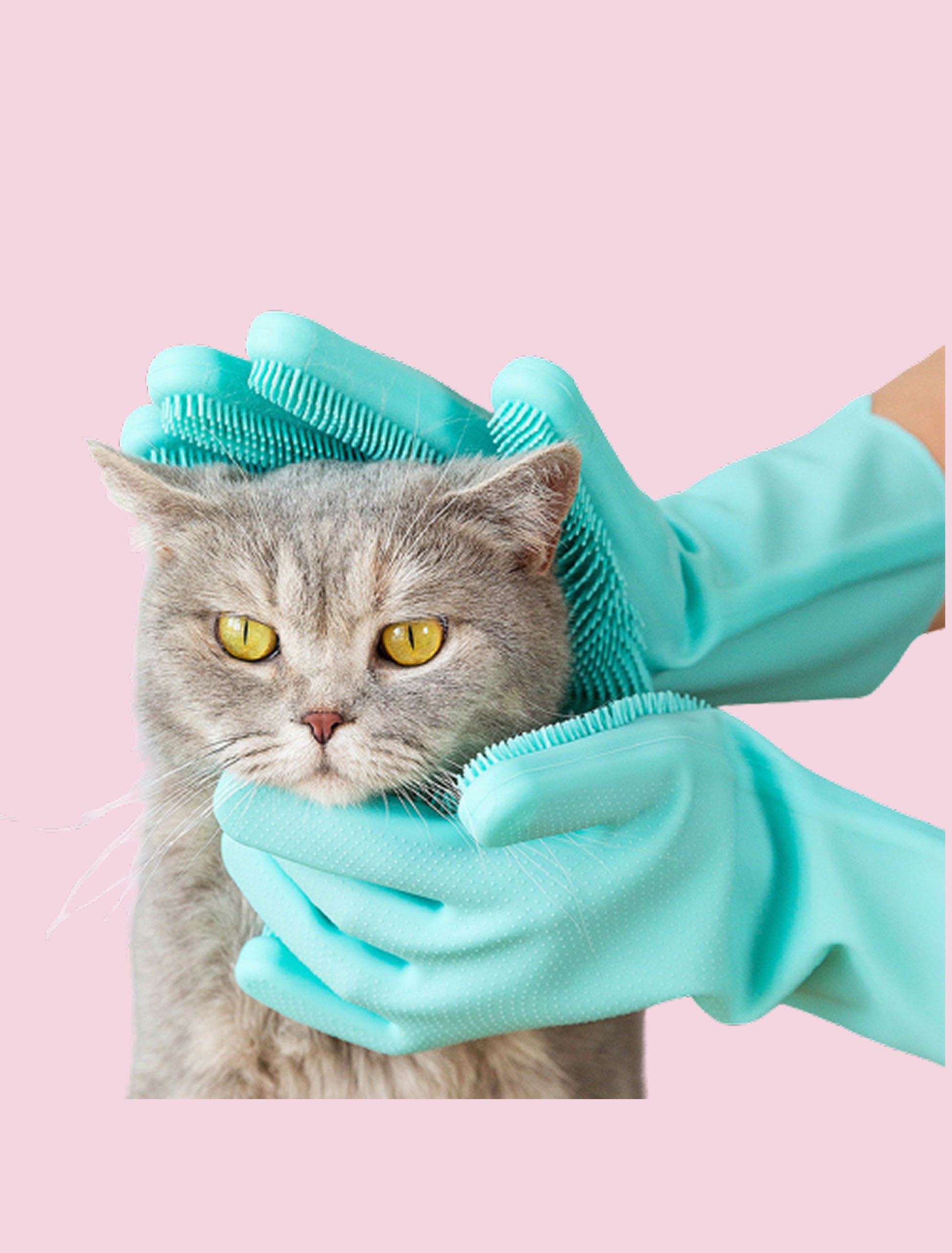 Pets grooming gloves