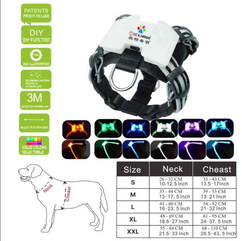 LED Light-Up Dog Harness – Safe Night Walks