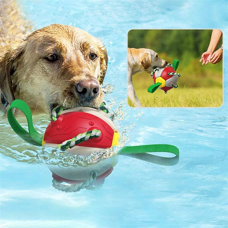 Interactive Tug & Chew Dog Soccer Ball