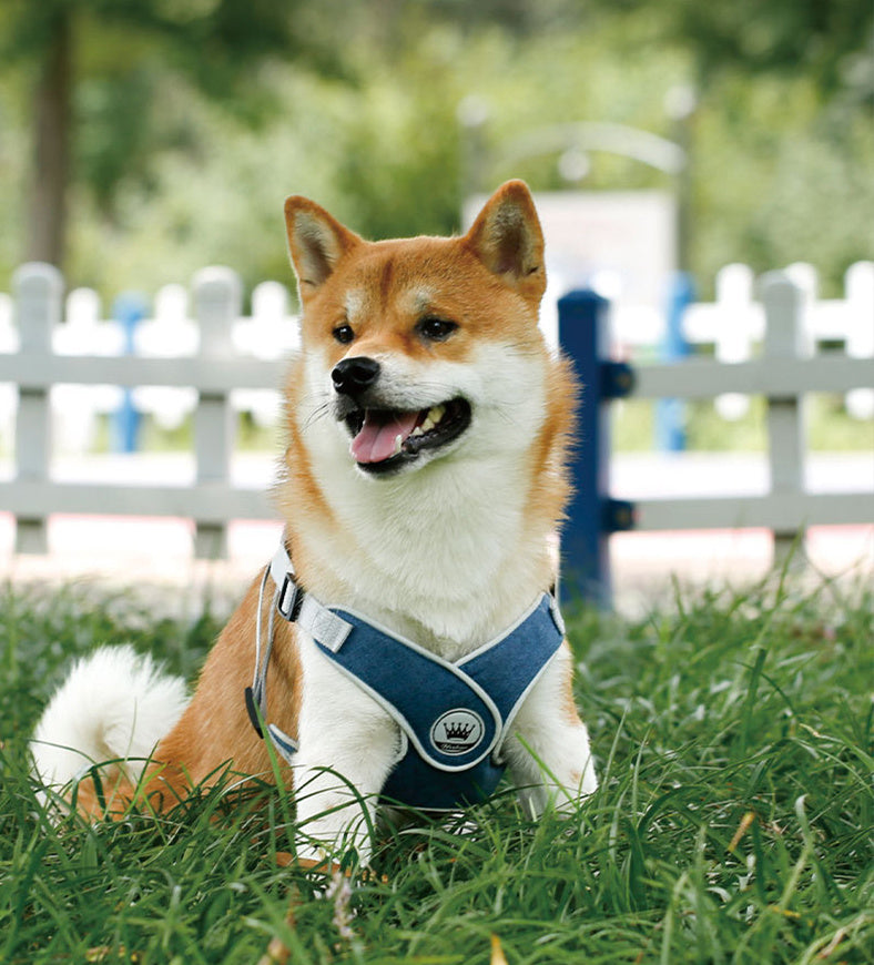 Easy-Wear Adjustable Pet Harness with Reflective Straps