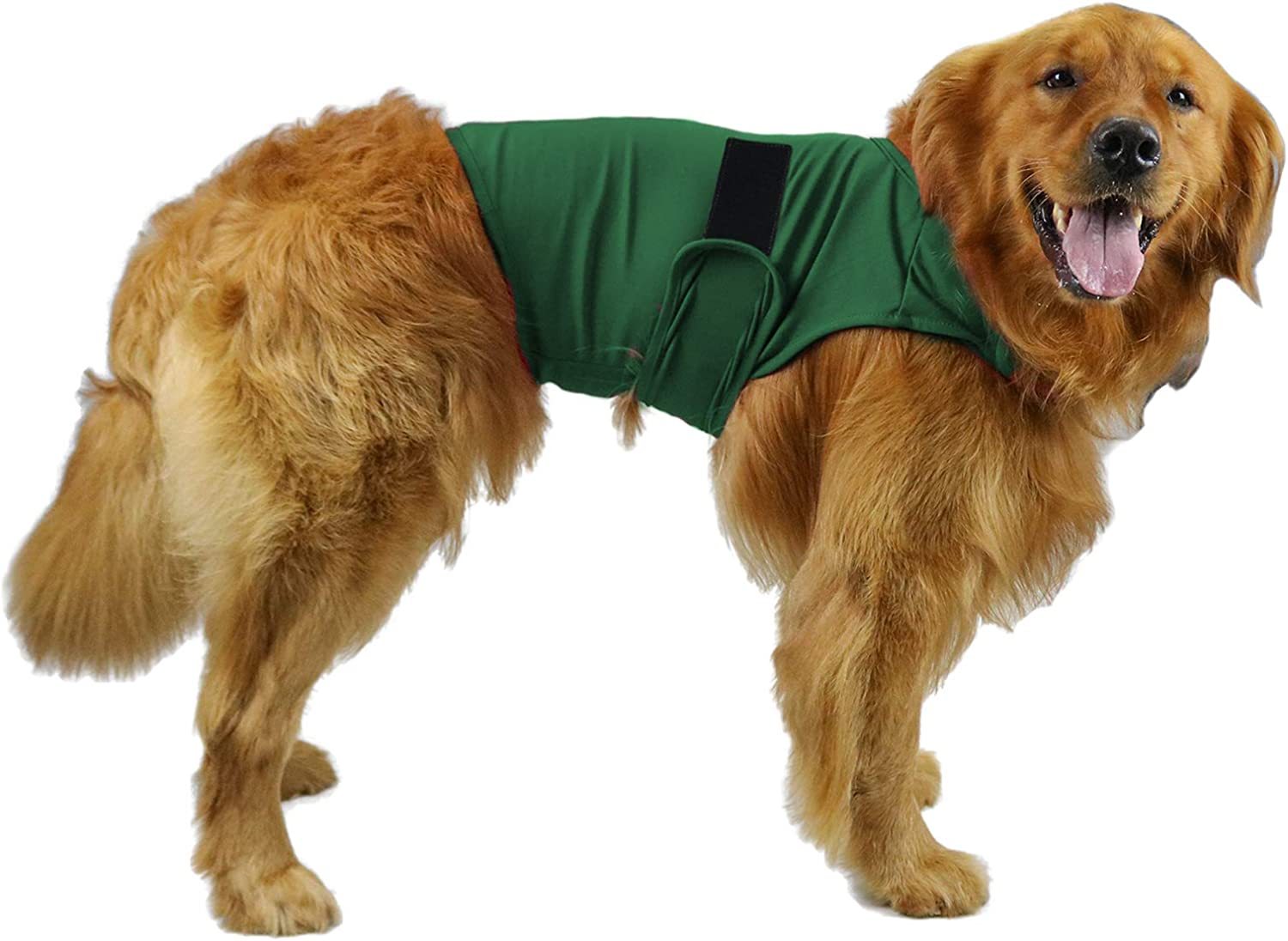 CalmPaws Anti-Anxiety Vest