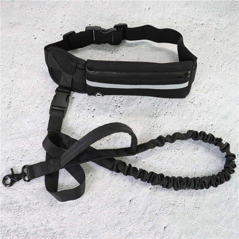 Hands-Free Gradient Dog Leash Set