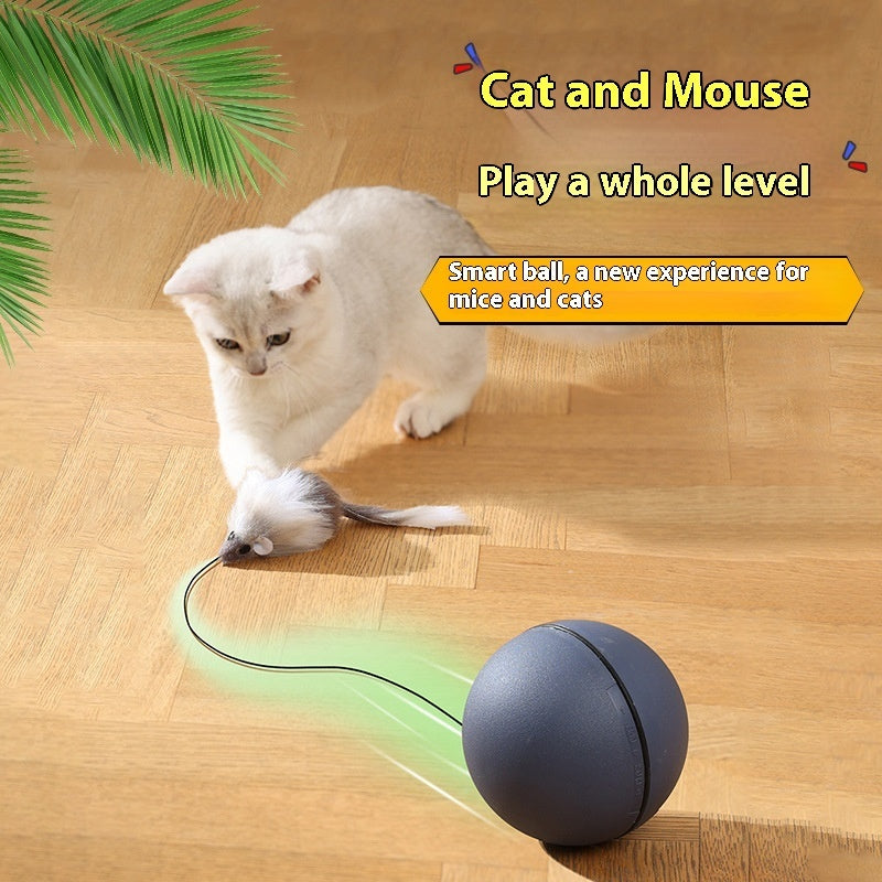 SmartChase Cat Teaser Ball + Mouse