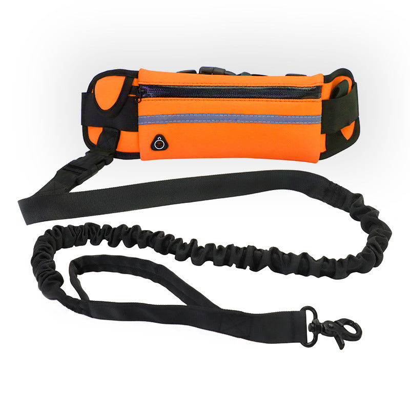 Hands-Free Gradient Dog Leash Set