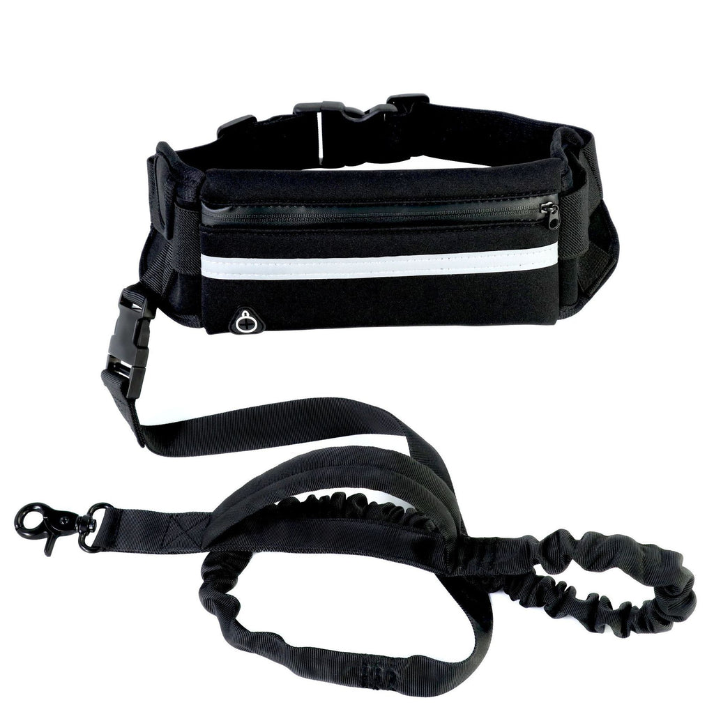 Hands-Free Gradient Dog Leash Set