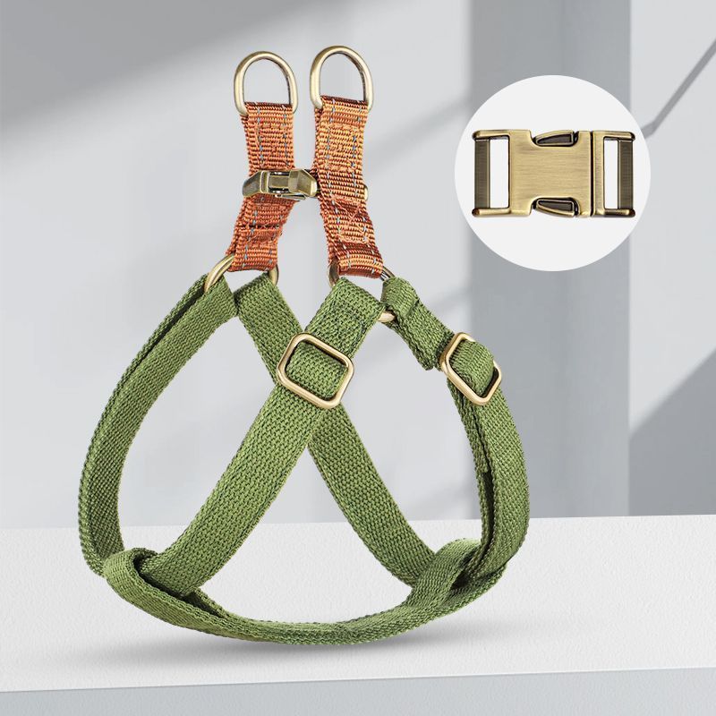 Secure Dog Harness – Personalized for Extra Safety