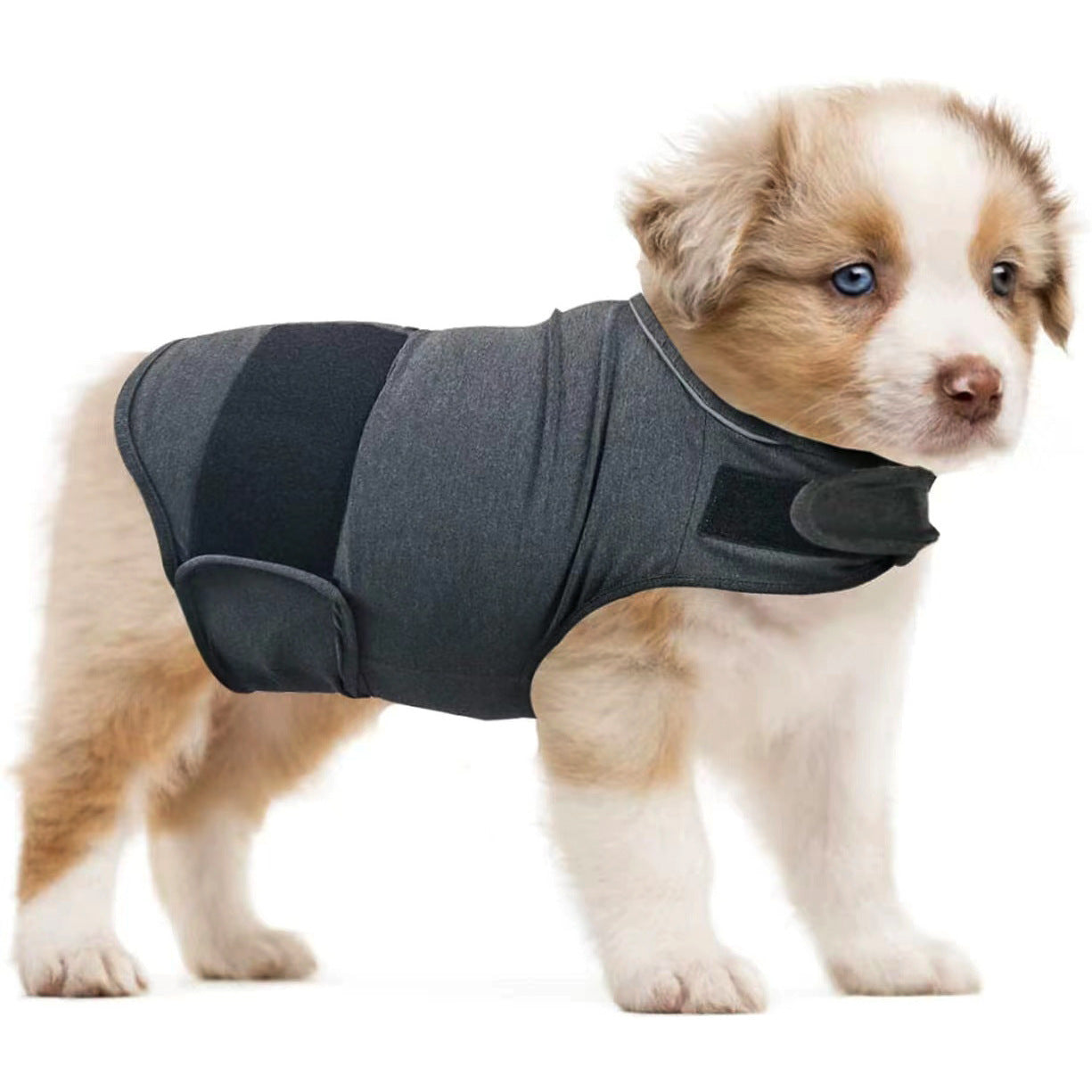 CalmPaws Anti-Anxiety Vest