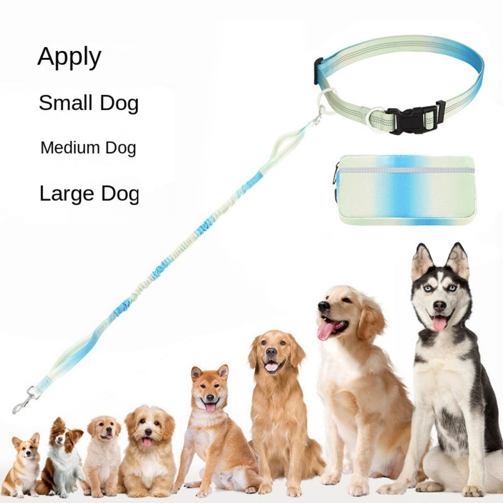 Adjustable Hands-Free Running Leash with Waist Belt