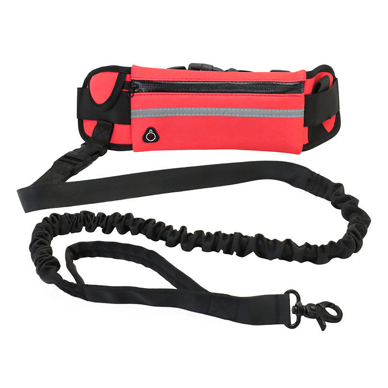 Hands-Free Gradient Dog Leash Set