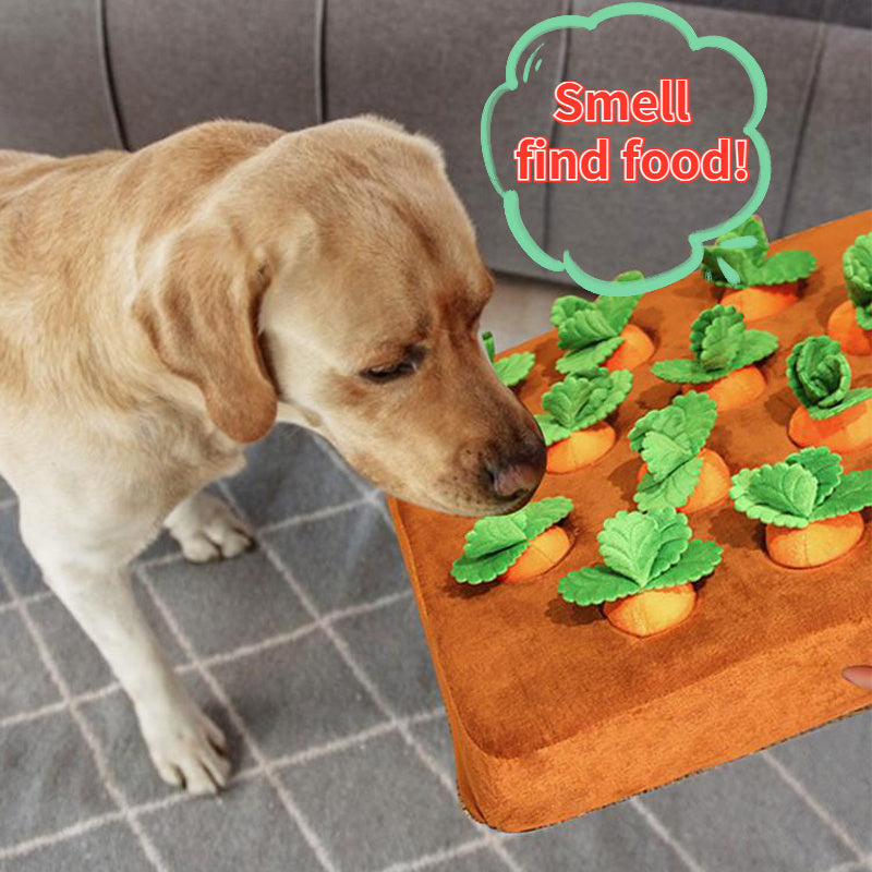 Carrot Hunt Snuffle Toy