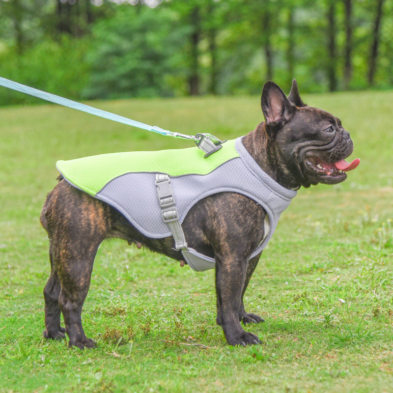 “Chill Pup Cooling Vest – Beat the Heat in Style!”
