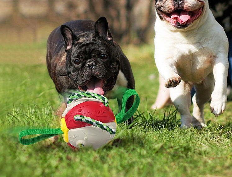 Interactive Tug & Chew Dog Soccer Ball