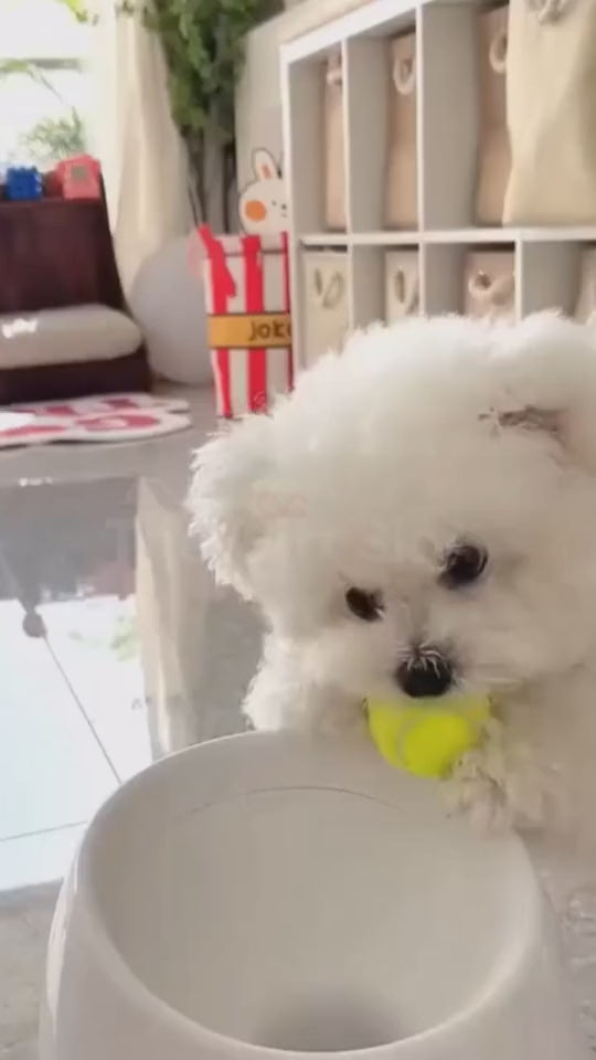 Pet Automatic Interactive Ball Launcher